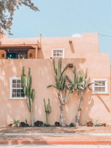 viviana-rishe-1063749-unsplash