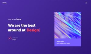 portfolio-vivid