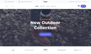 shop