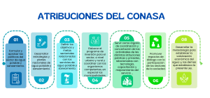 Atribuciones del CONASA